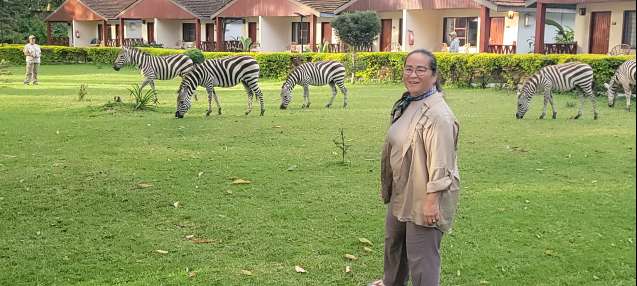 Muthu Lake Naivasha country club zebras on the lawn