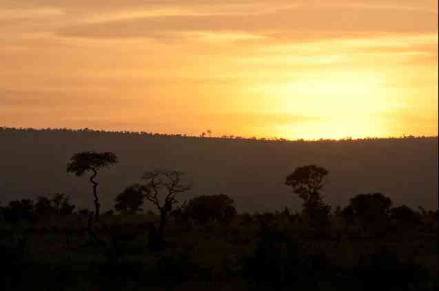 Sunrise on safari in Kruger National Park